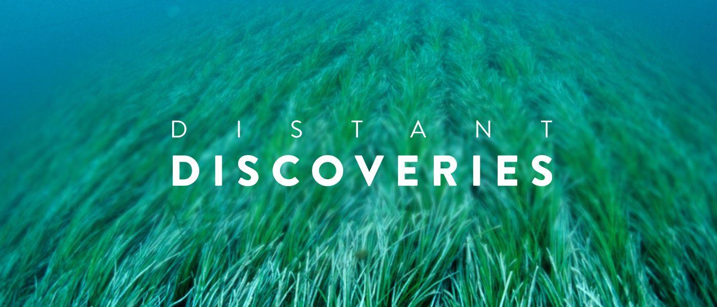 Distant Discoveries